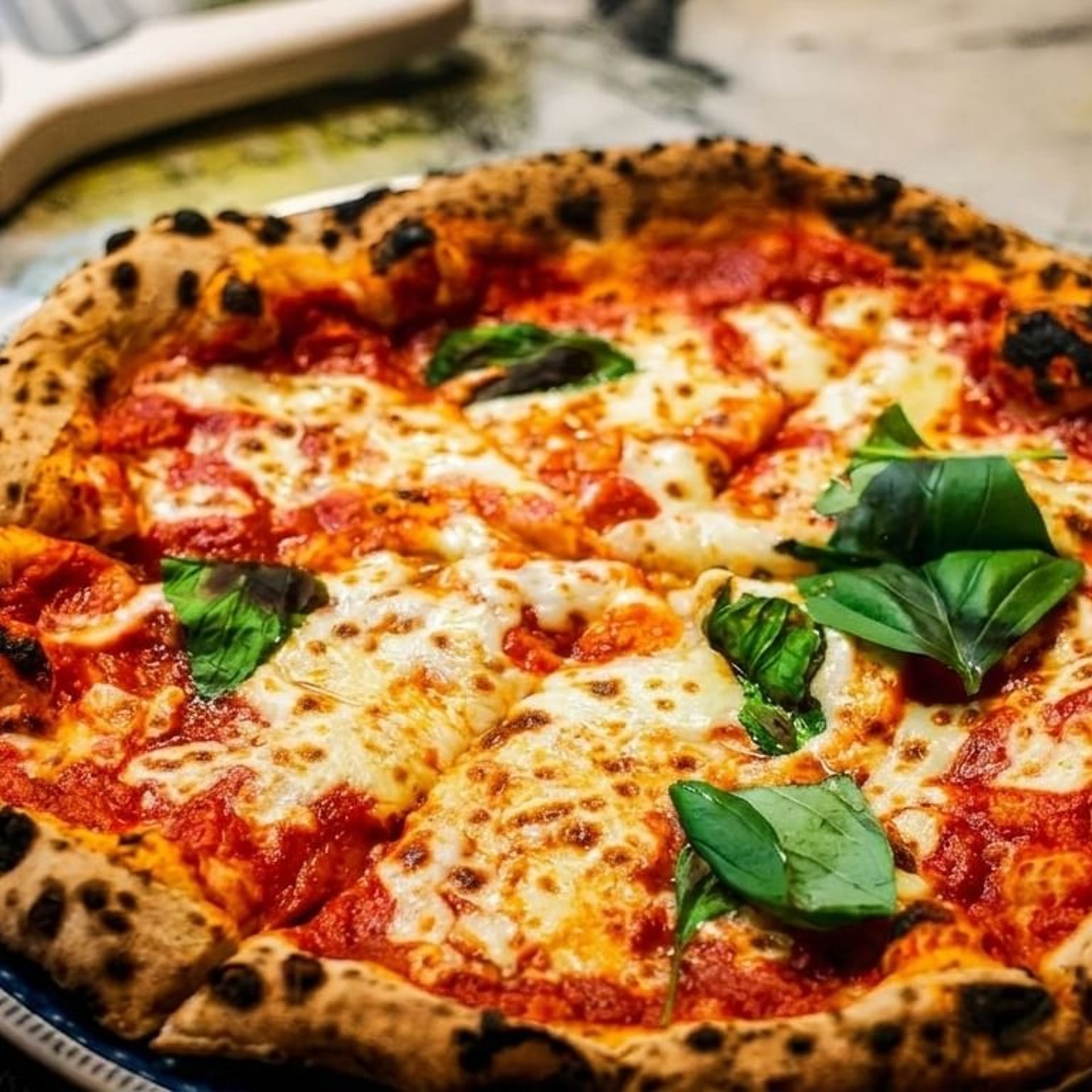 Peter's Rewards